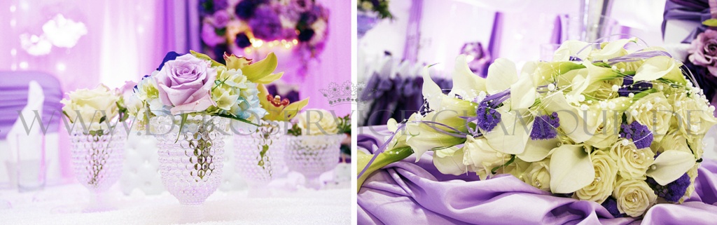 Kocher uljana arnold